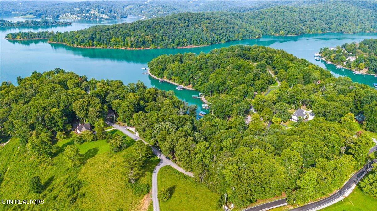 Lots 9&10 Big Pine Point Lafollette TN 37766