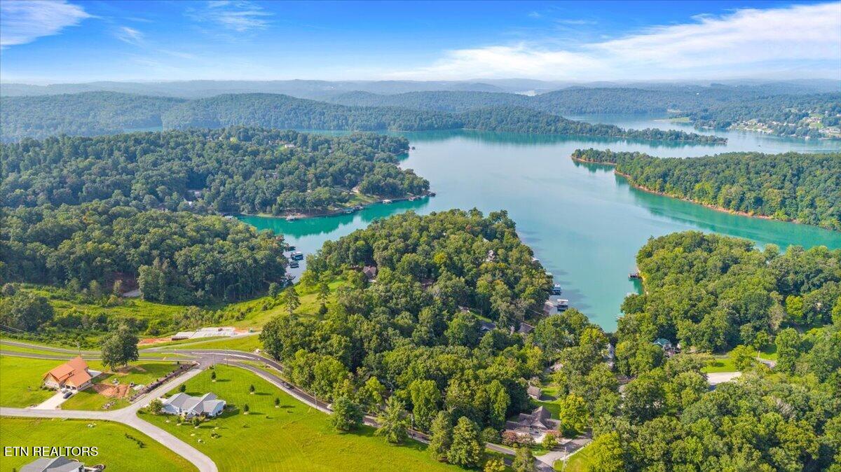 Lots 9&10 Big Pine Point Lafollette TN 37766
