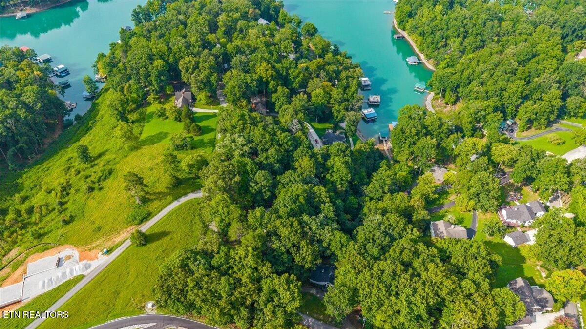 Lots 9&10 Big Pine Point Lafollette TN 37766
