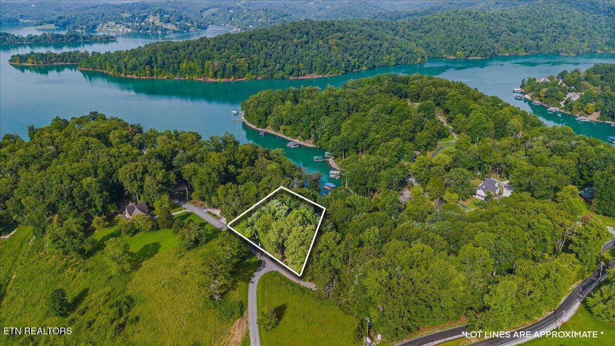 Lots 9&10 Big Pine Point Lafollette TN 37766