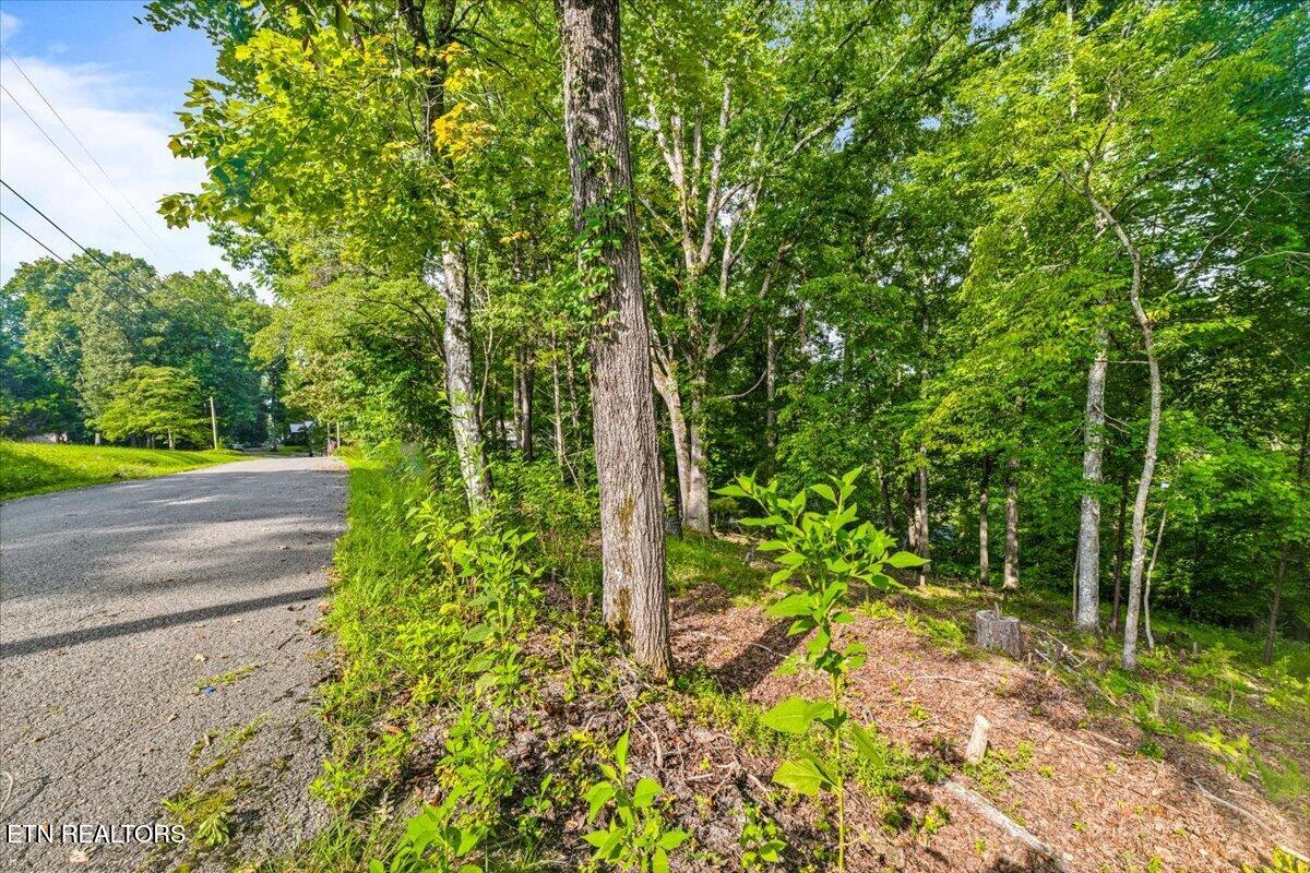 Lots 9&10 Big Pine Point Lafollette TN 37766