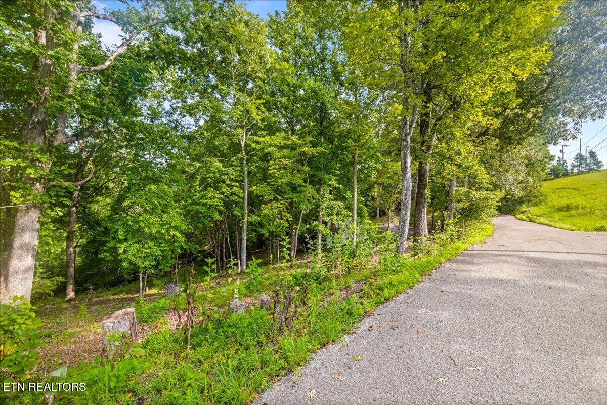 Lots 9&10 Big Pine Point Lafollette TN 37766