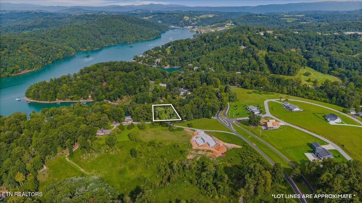 Lots 9&10 Big Pine Point Lafollette TN 37766