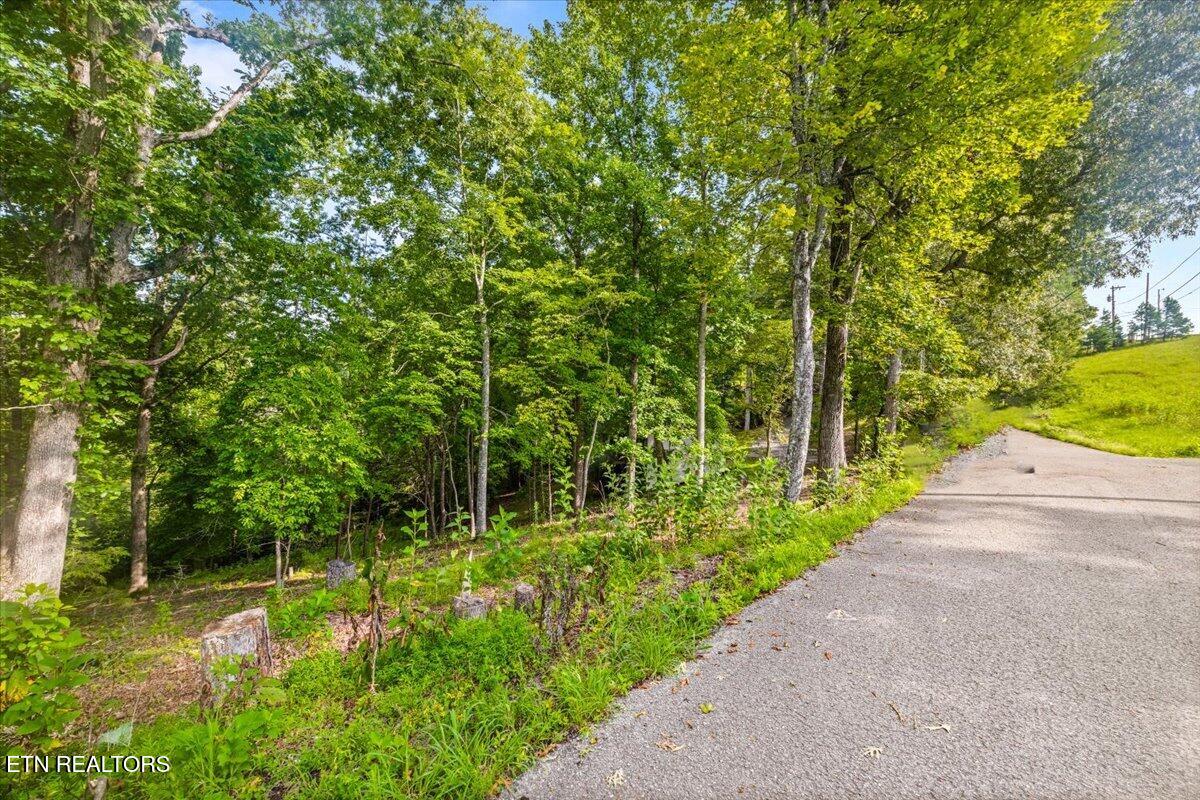 Lots 9&10 Big Pine Point Lafollette TN 37766