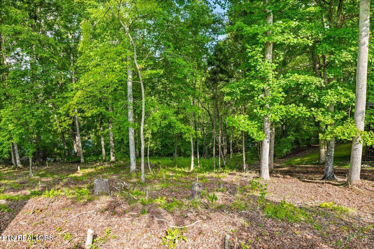 Lots 9&10 Big Pine Point Lafollette TN 37766