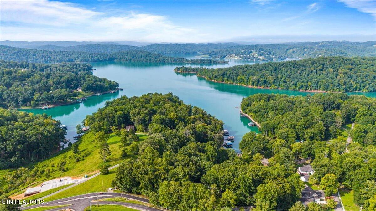 Lots 9&10 Big Pine Point Lafollette TN 37766