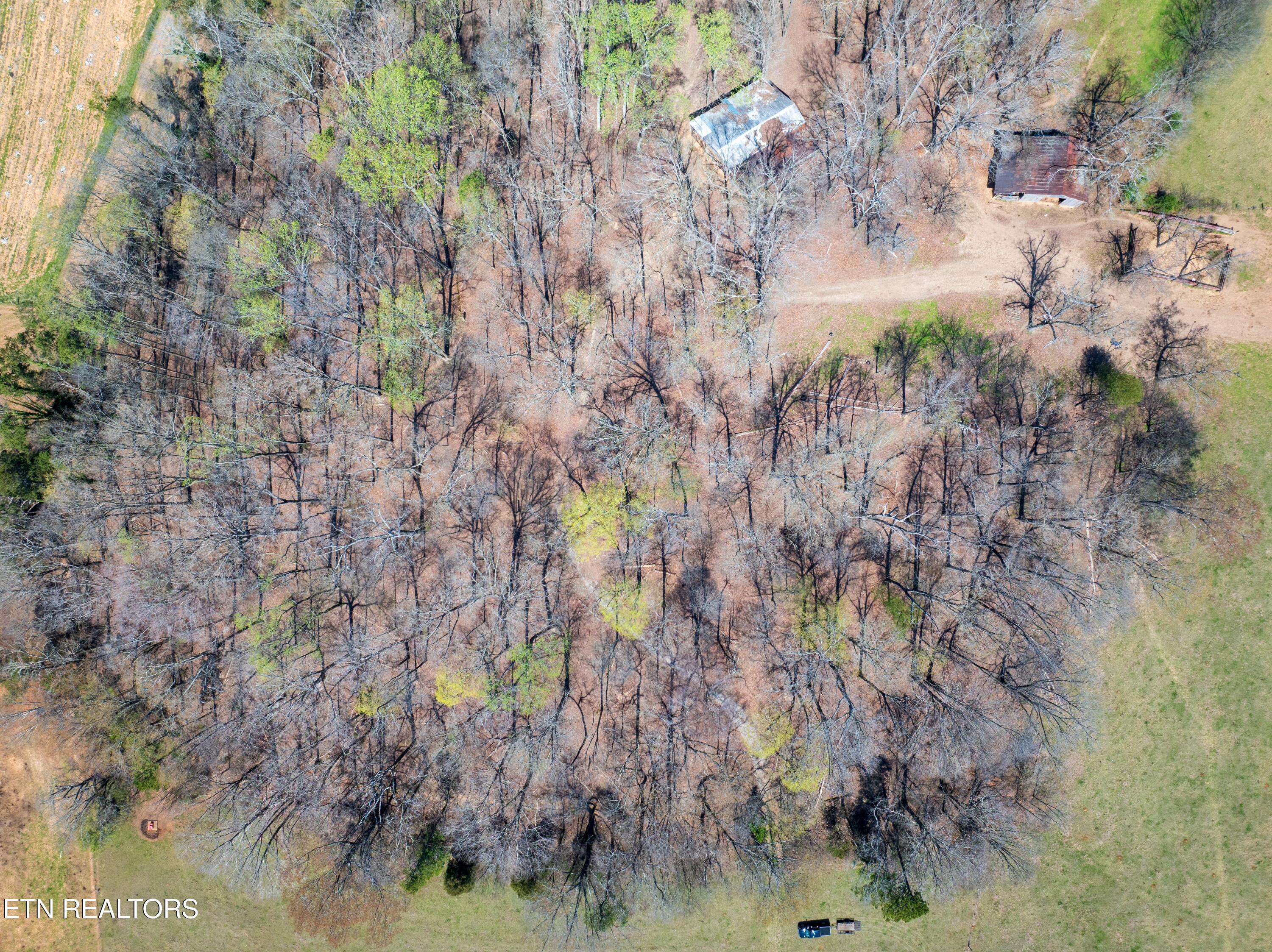 1404 Trigonia Road Maryville TN 37801
