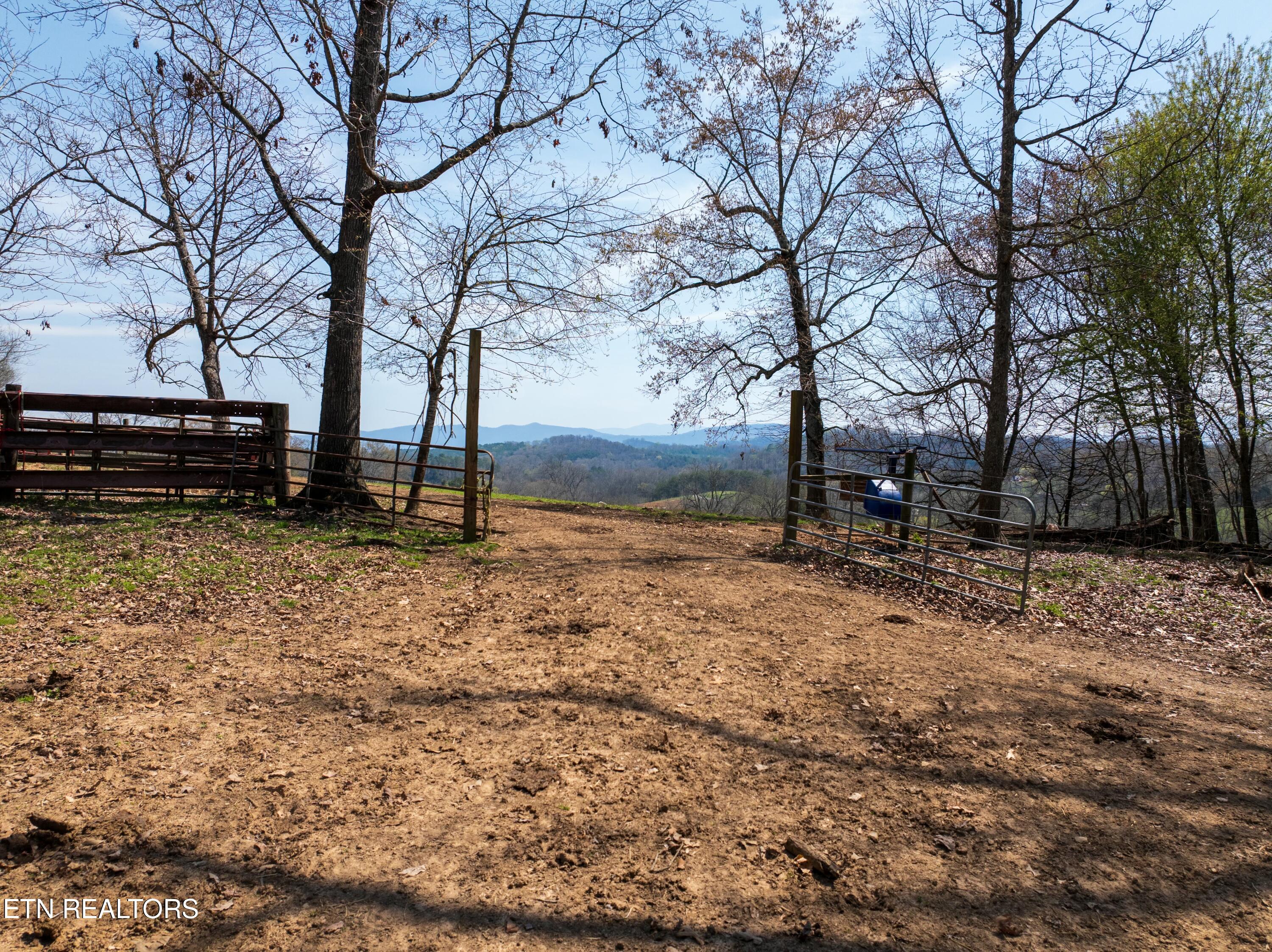 1404 Trigonia Road Maryville TN 37801