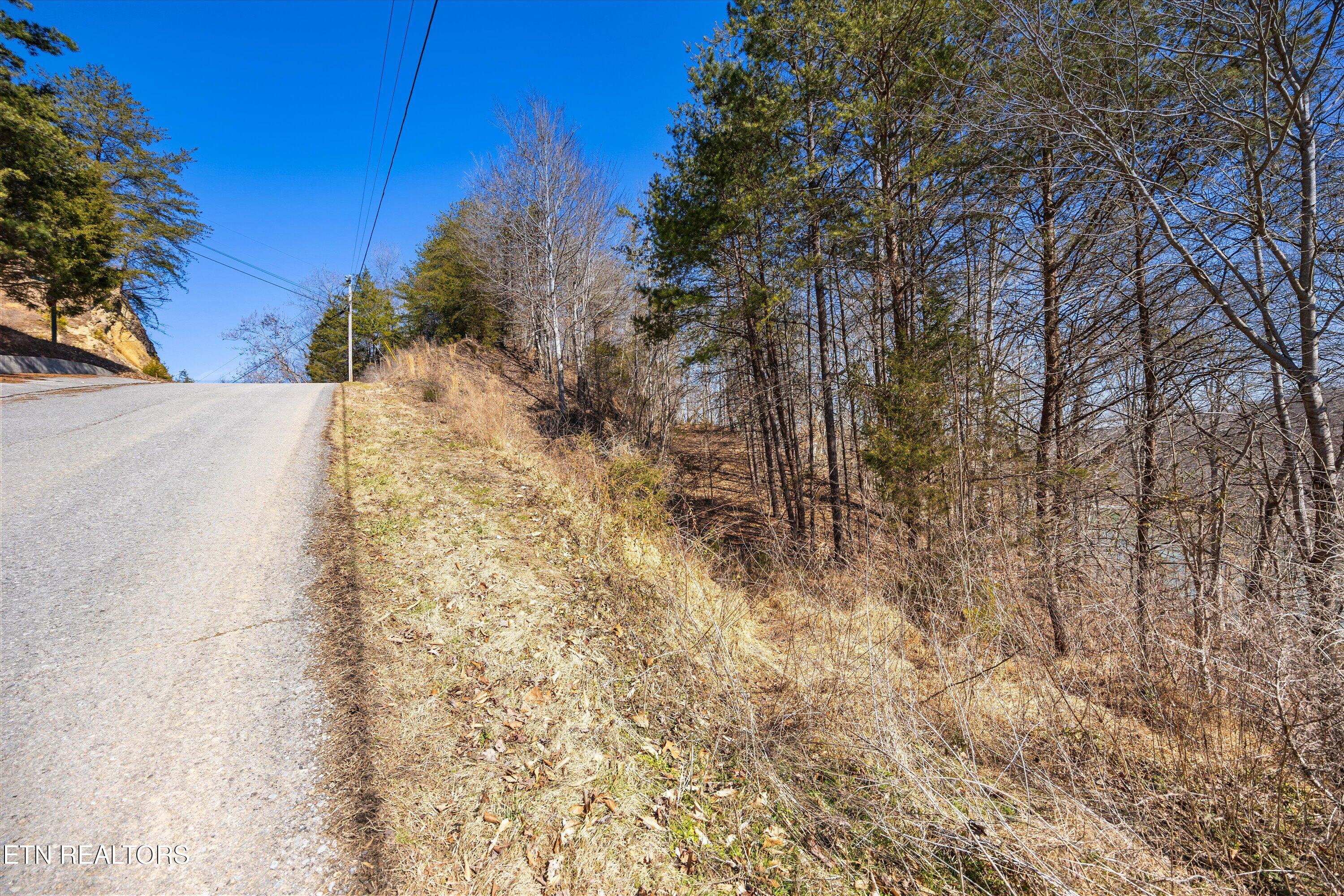 Lot 34 Mountain Shores Drive New Tazewell TN 37825