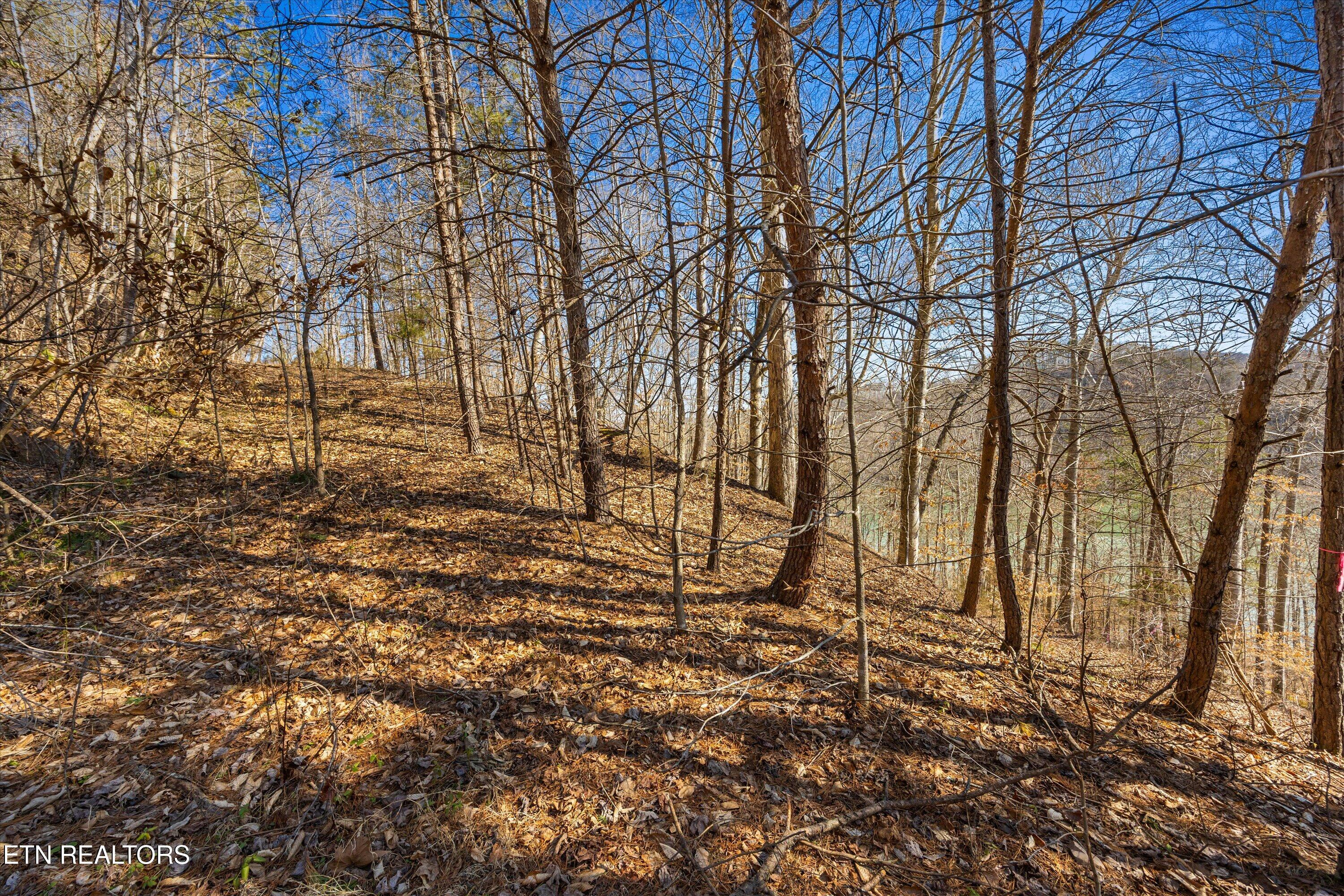 Lot 34 Mountain Shores Drive New Tazewell TN 37825