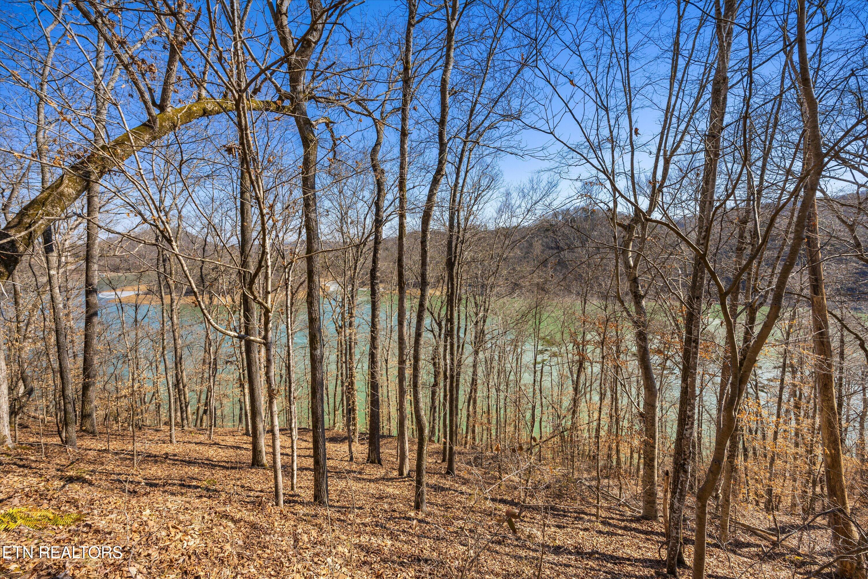 Lot 34 Mountain Shores Drive New Tazewell TN 37825