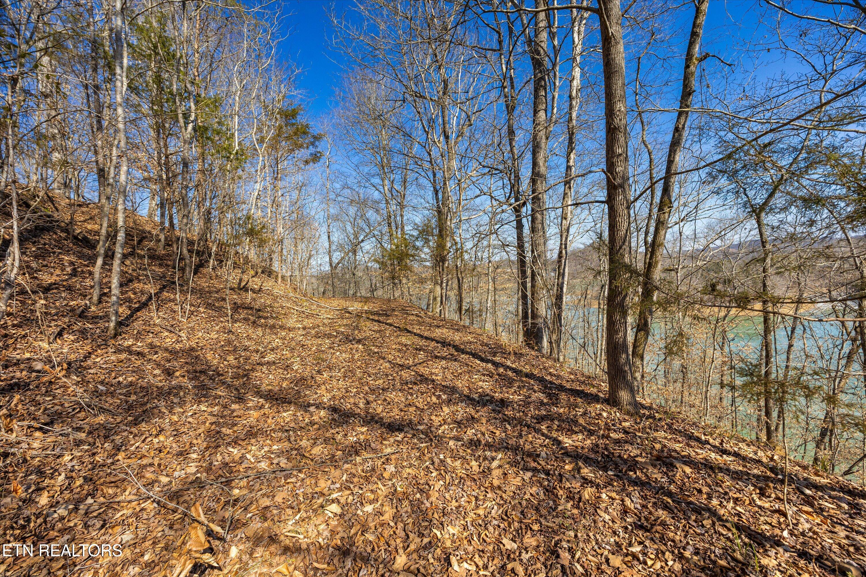 Lot 34 Mountain Shores Drive New Tazewell TN 37825