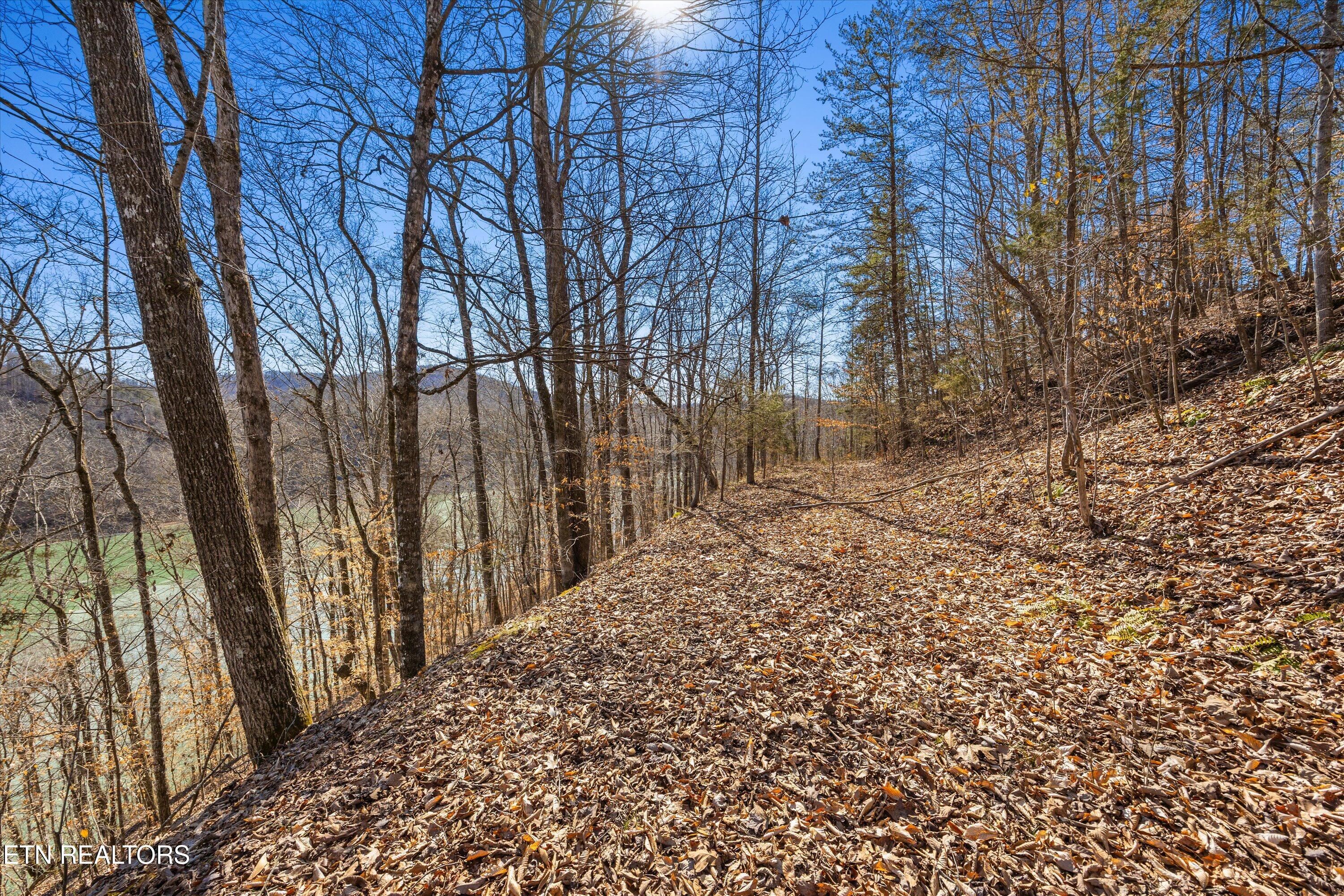 Lot 34 Mountain Shores Drive New Tazewell TN 37825