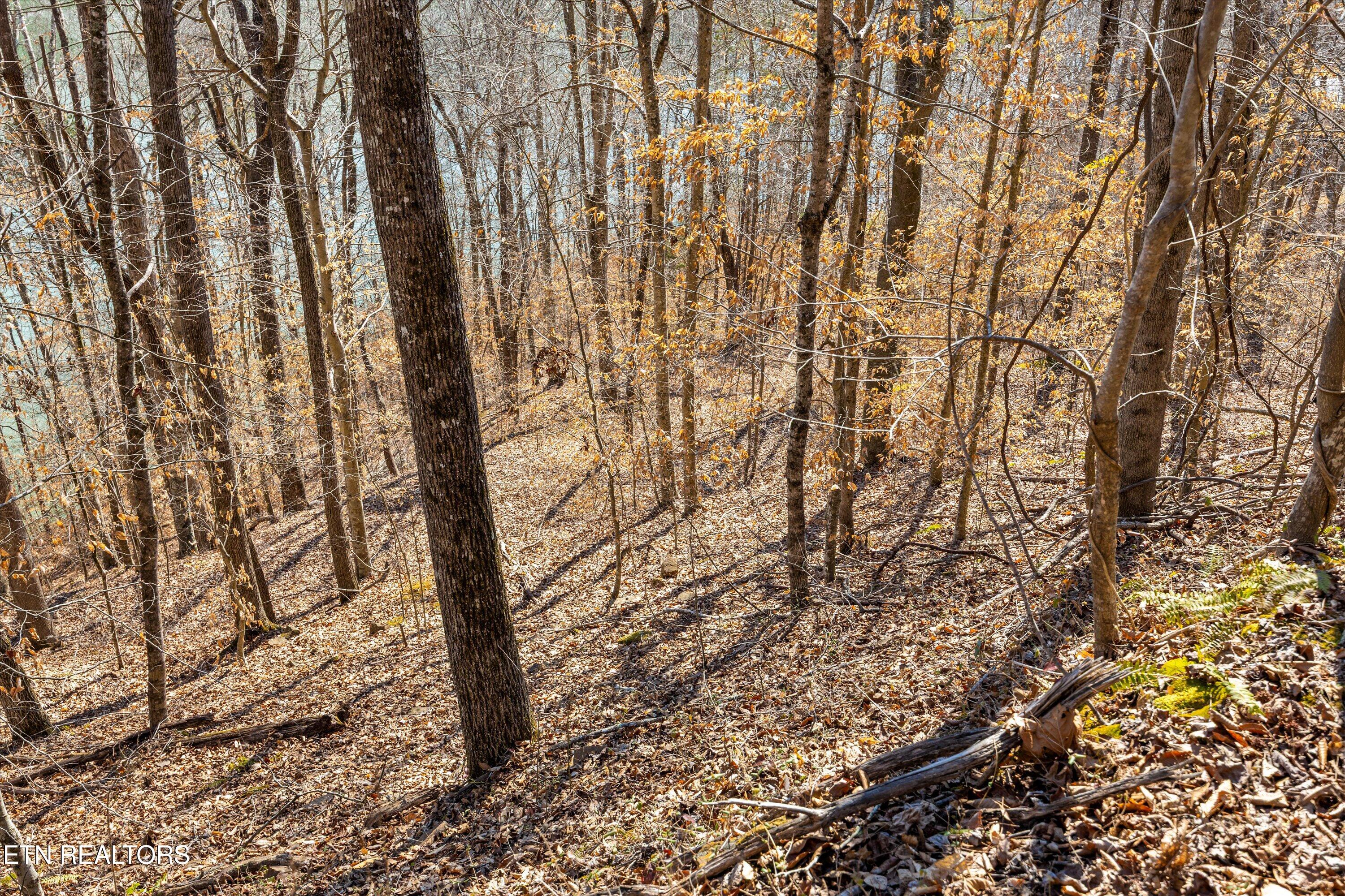 Lot 34 Mountain Shores Drive New Tazewell TN 37825