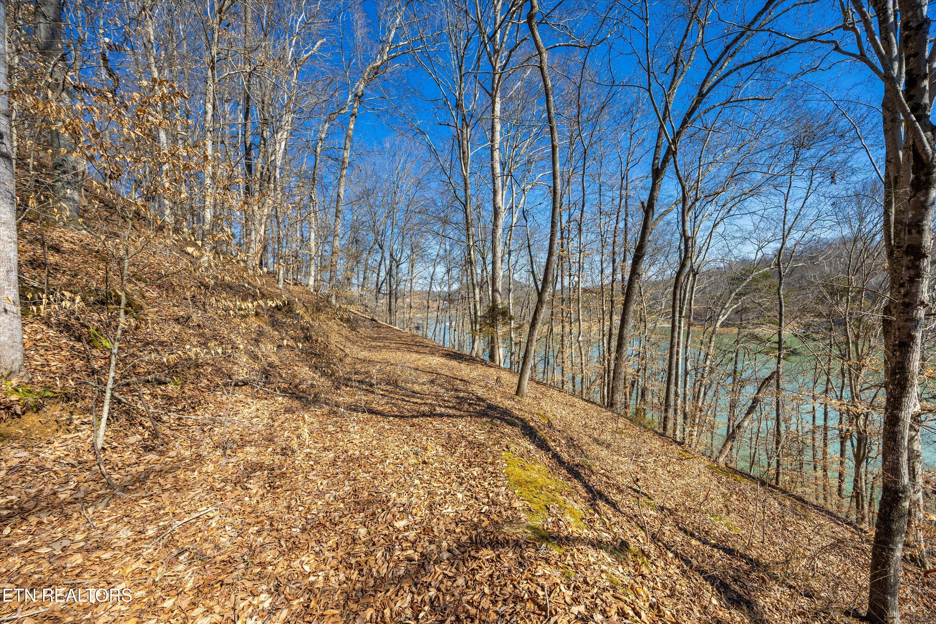 Lot 34 Mountain Shores Drive New Tazewell TN 37825