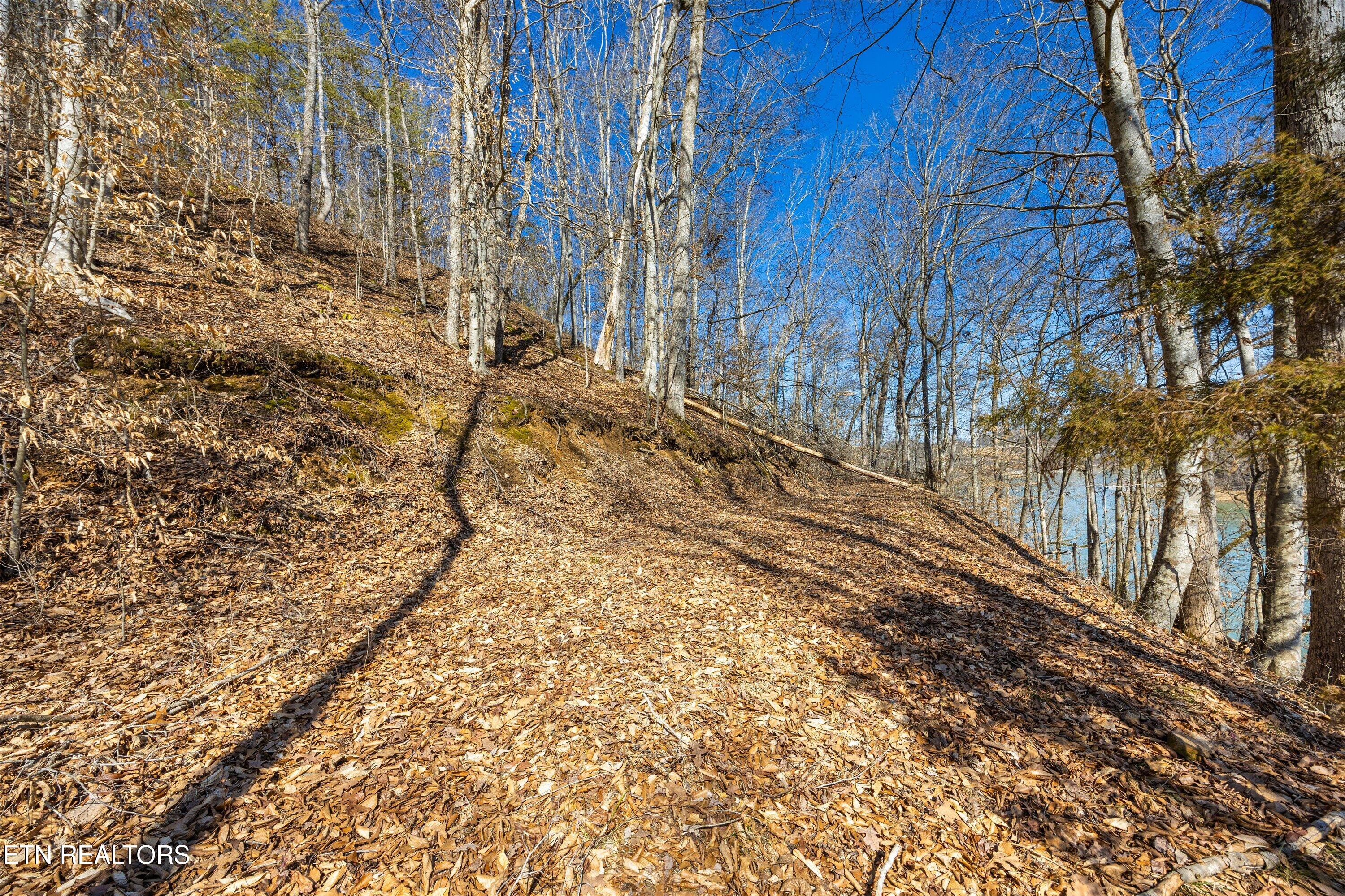 Lot 34 Mountain Shores Drive New Tazewell TN 37825