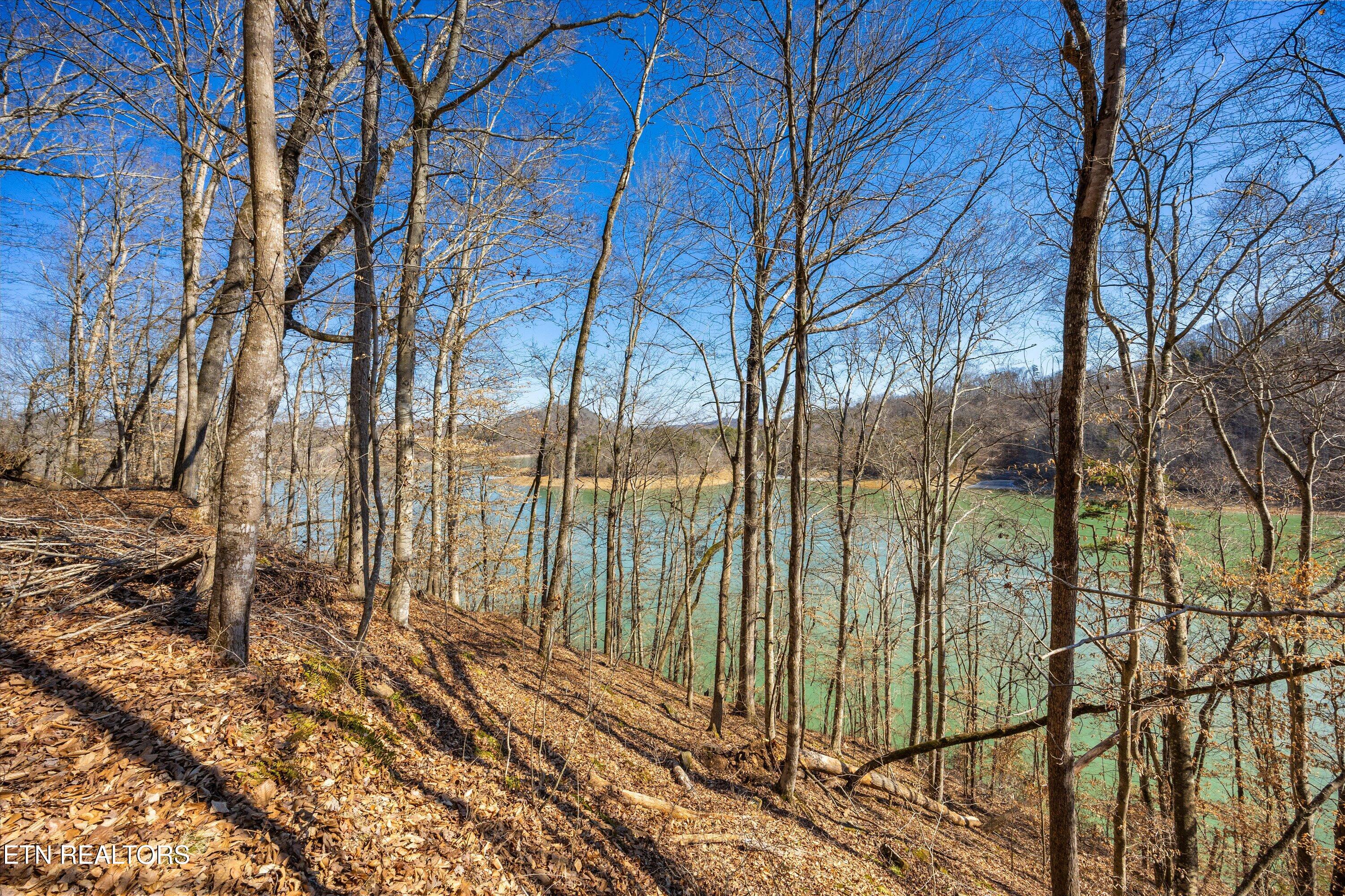 Lot 34 Mountain Shores Drive New Tazewell TN 37825