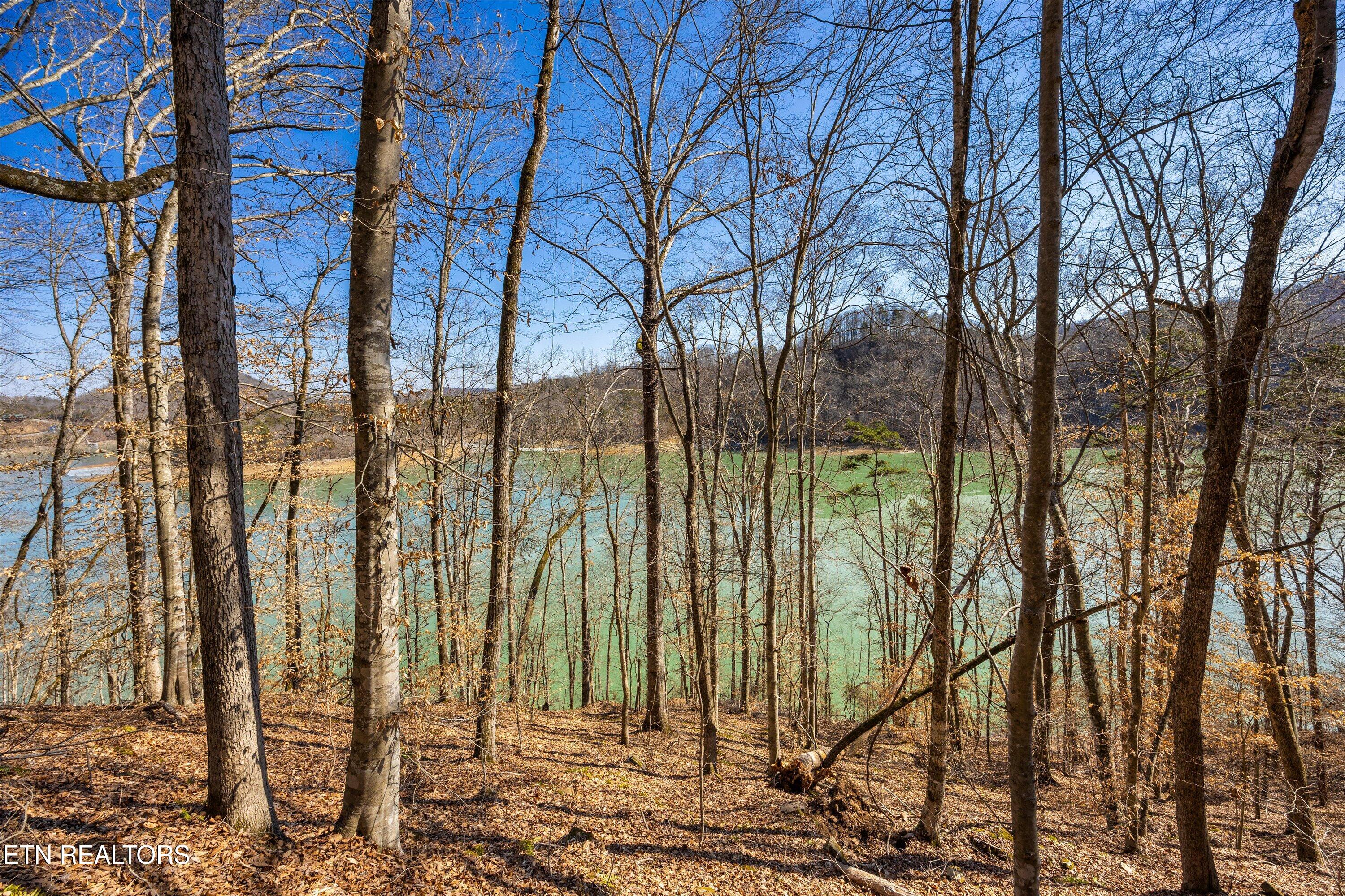 Lot 34 Mountain Shores Drive New Tazewell TN 37825