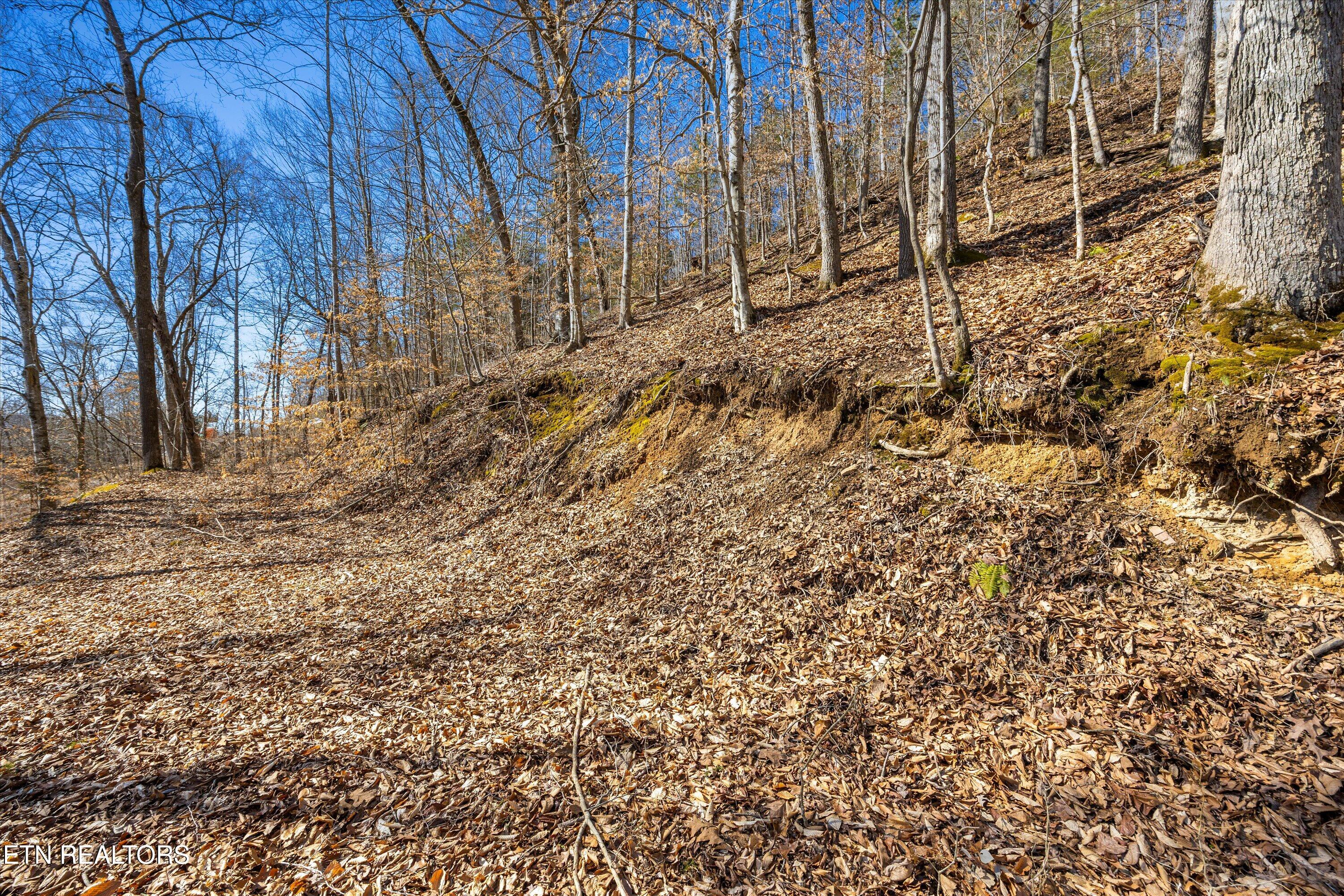Lot 34 Mountain Shores Drive New Tazewell TN 37825