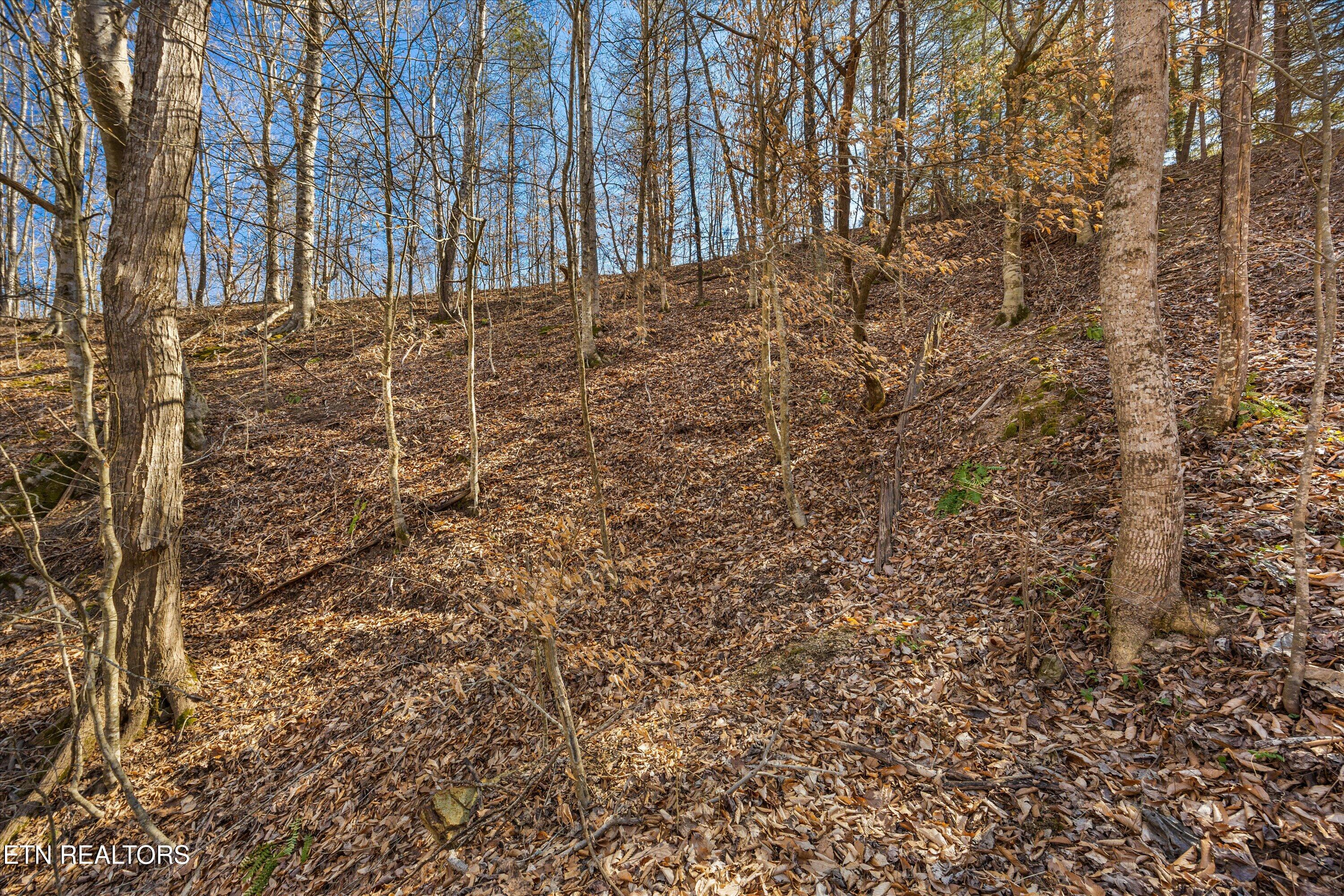 Lot 34 Mountain Shores Drive New Tazewell TN 37825