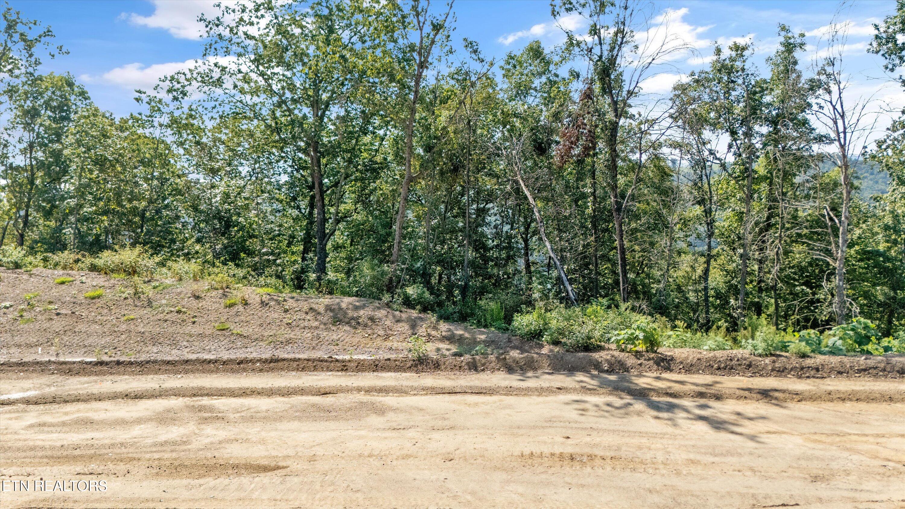 Lot 101 Sommet Ridge East Tazewell TN 37879