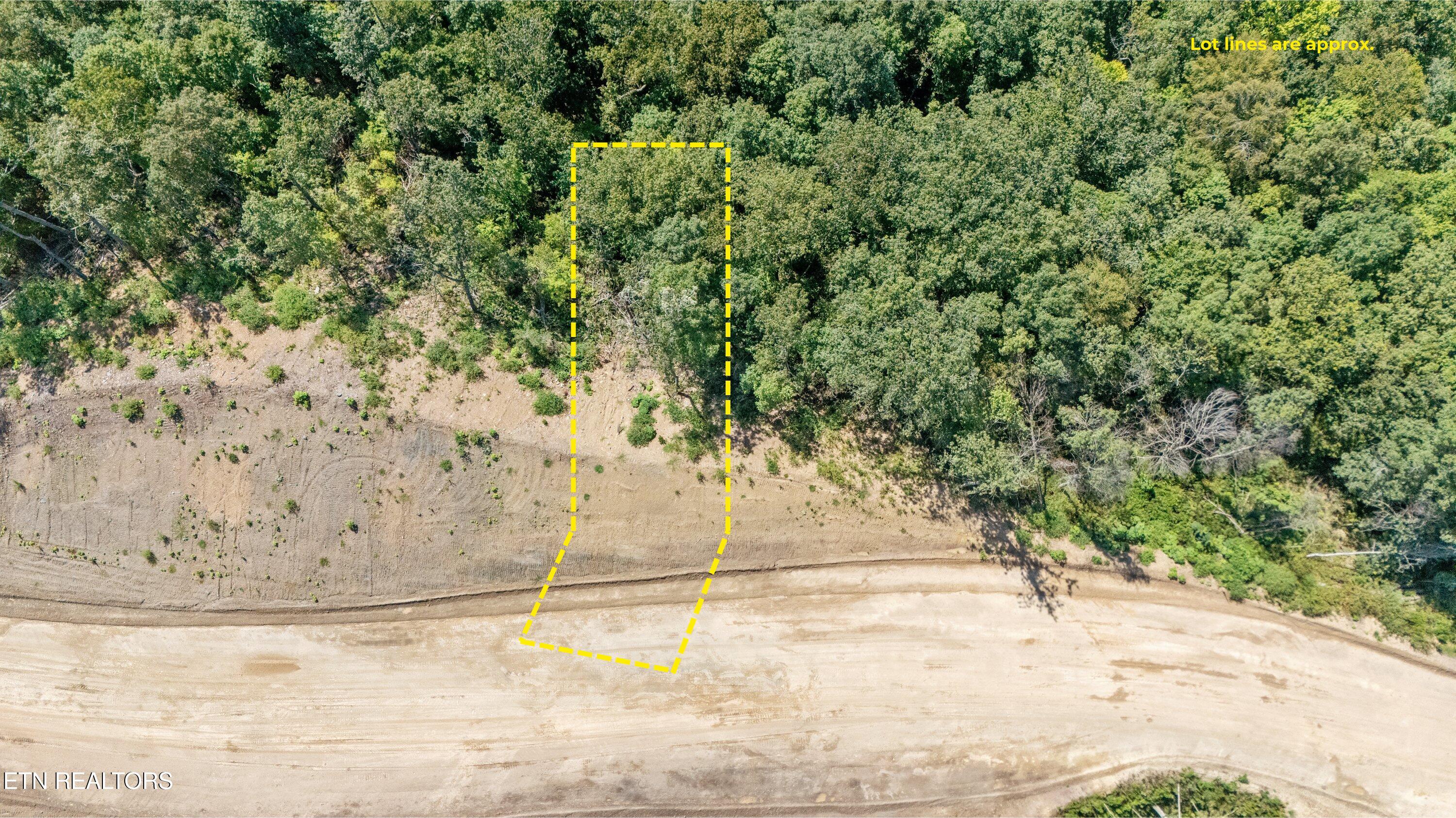 Lot 101 Sommet Ridge East Tazewell TN 37879