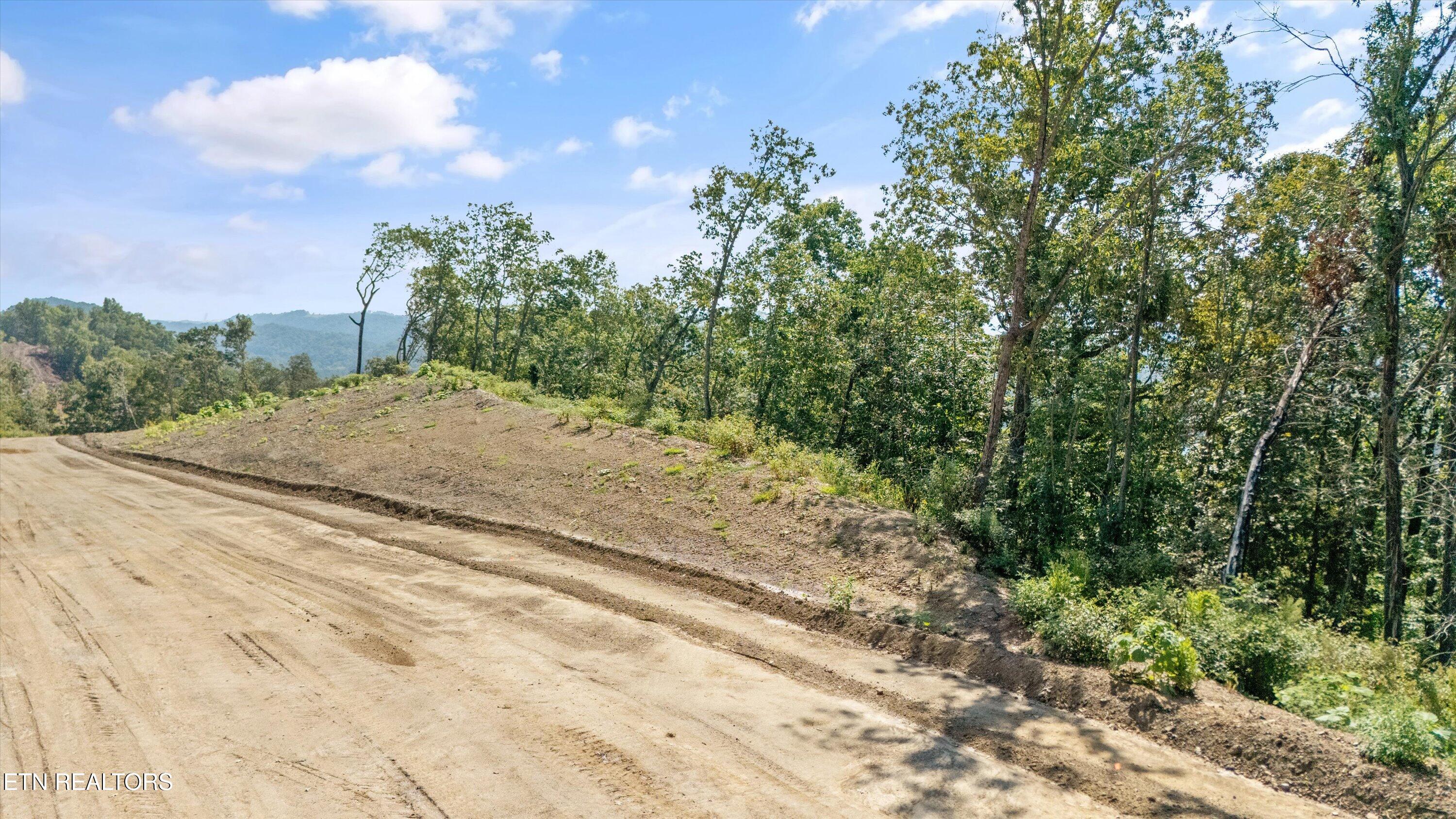 Lot 101 Sommet Ridge East Tazewell TN 37879