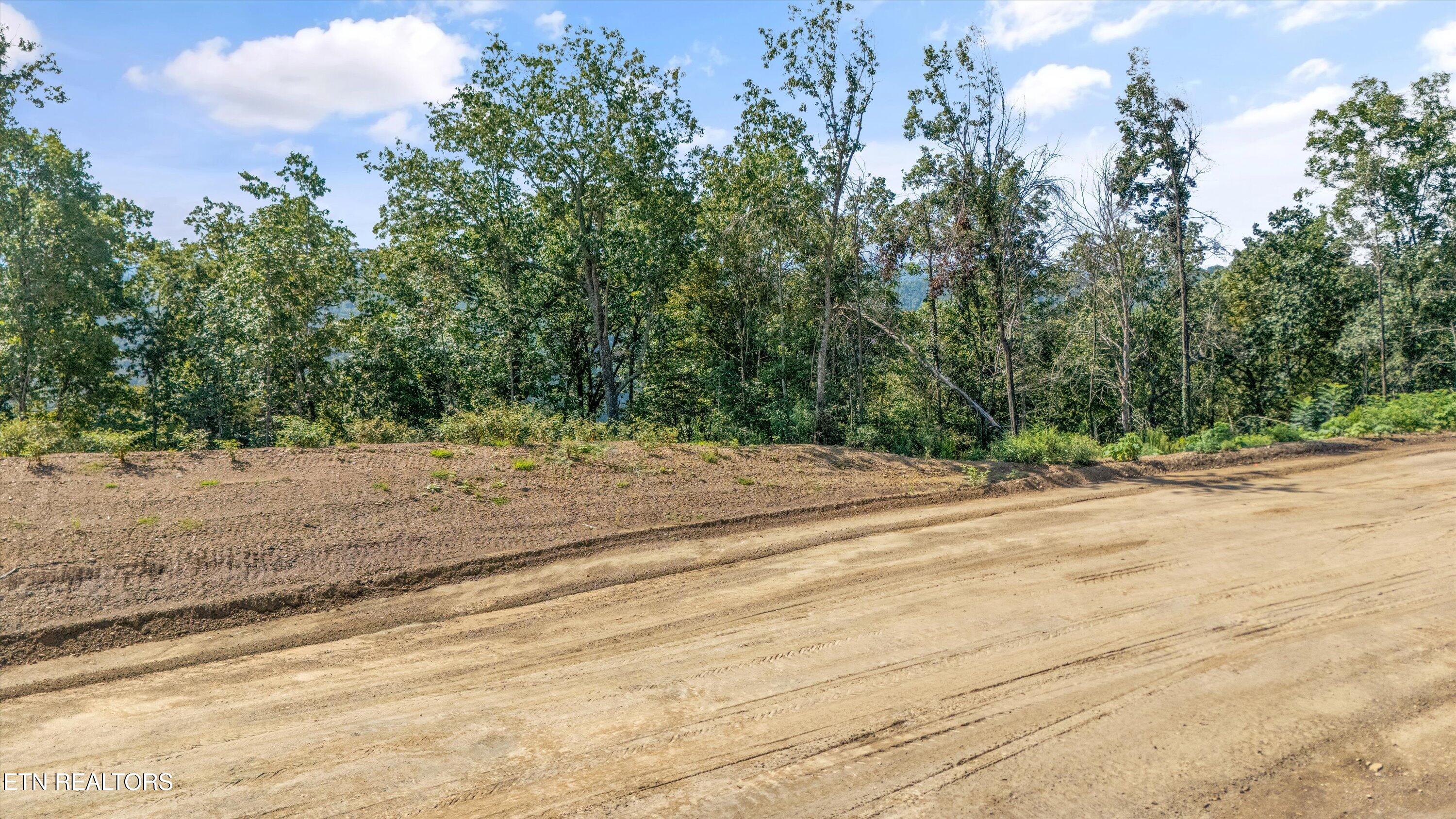 Lot 101 Sommet Ridge East Tazewell TN 37879