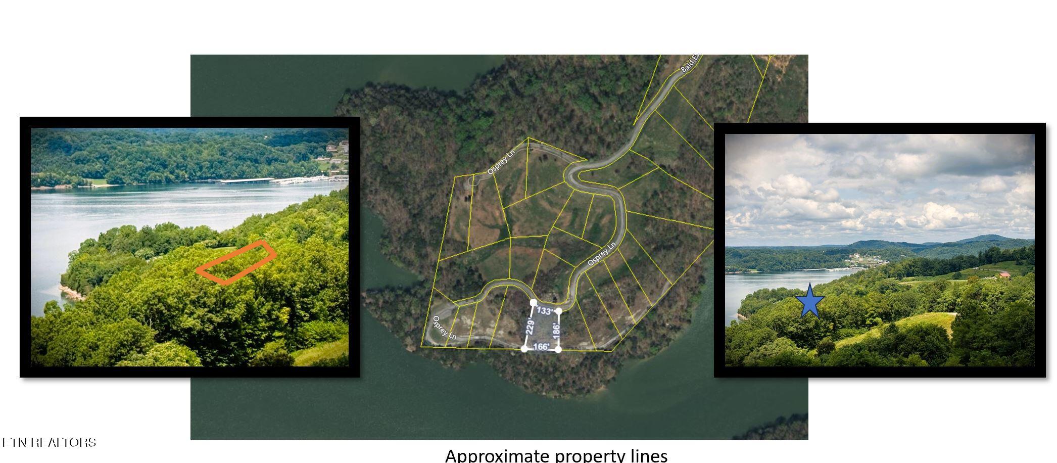 7D Bald Eagle Lane Hilham TN 38568