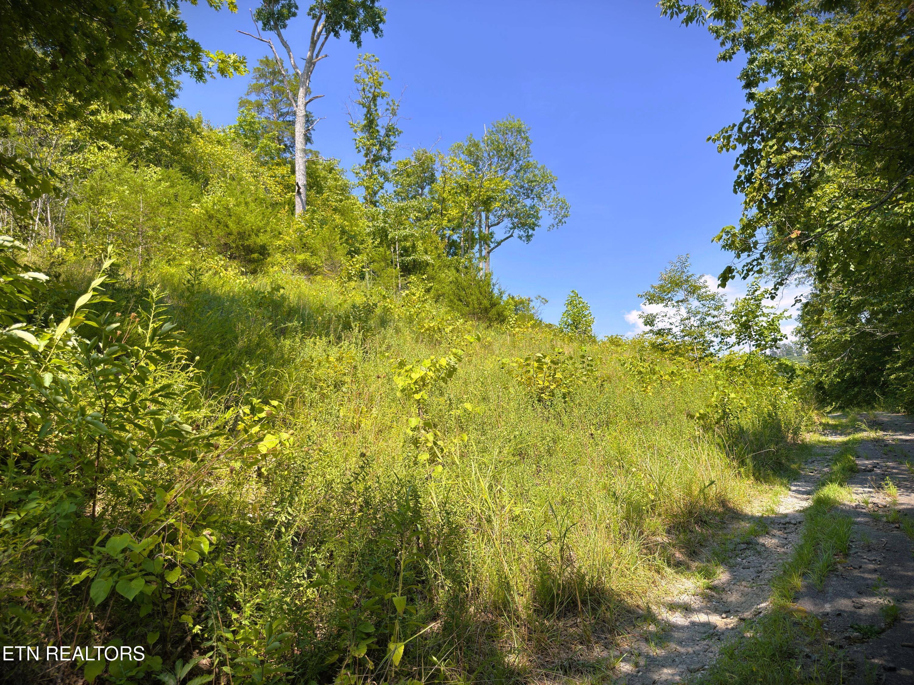 7D Bald Eagle Lane Hilham TN 38568