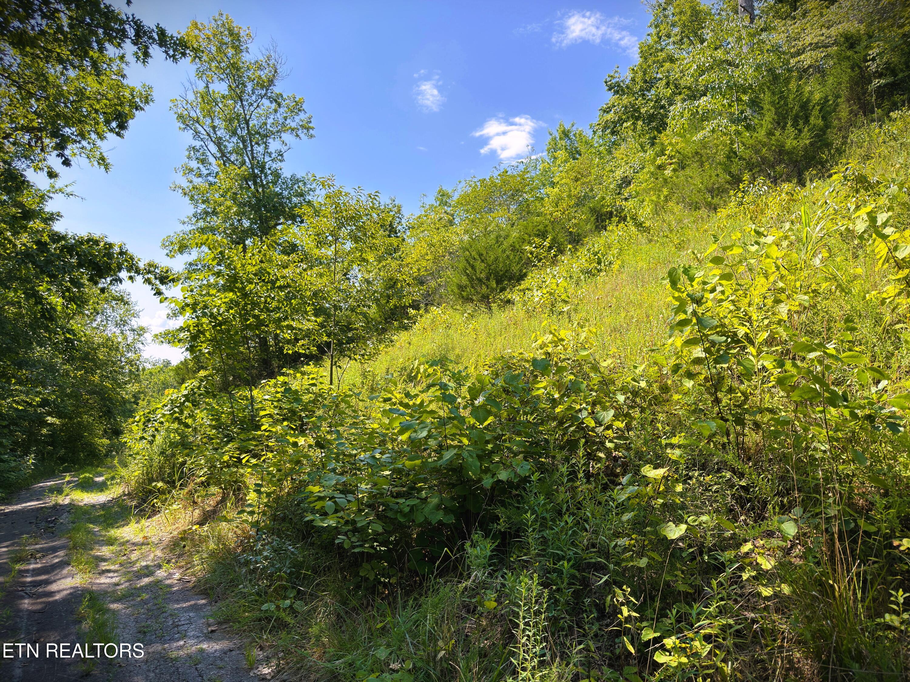 7D Bald Eagle Lane Hilham TN 38568
