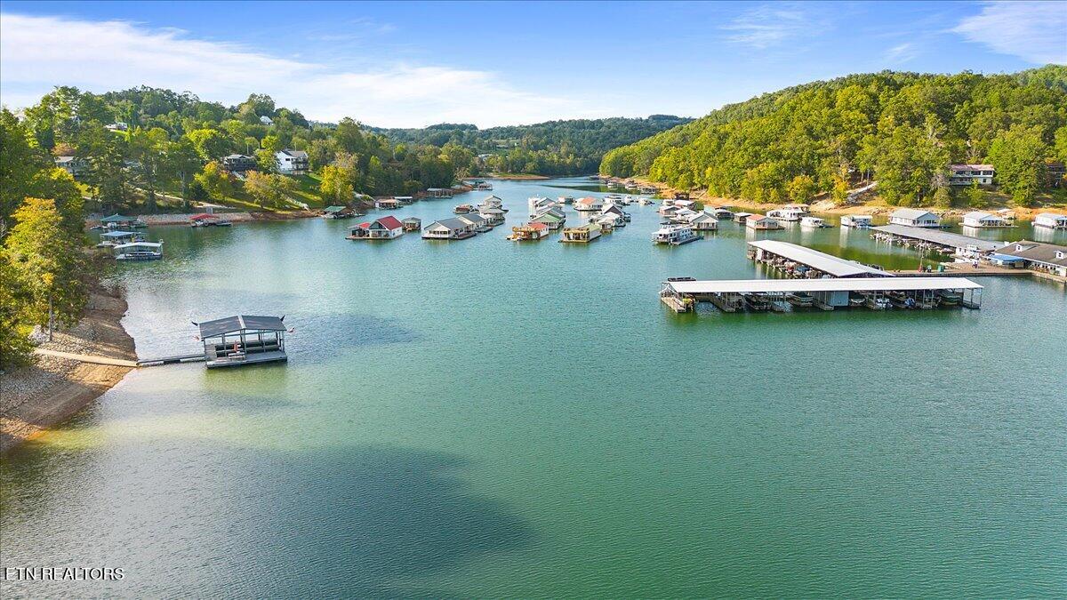 0 Lakesprings Drive Lafollette TN 37766