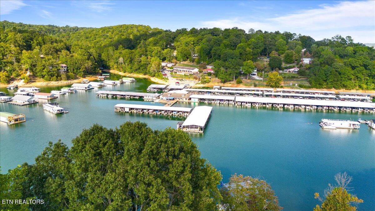 0 Lakesprings Drive Lafollette TN 37766