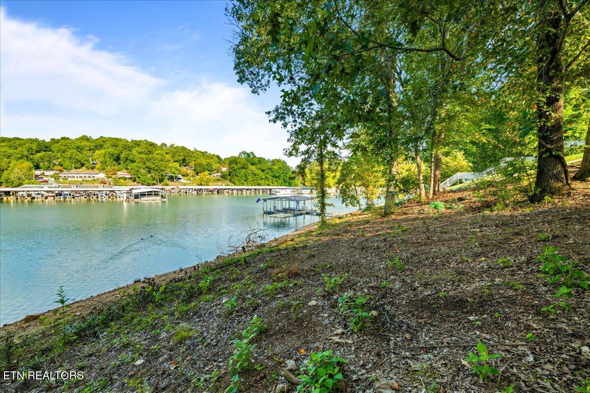 0 Lakesprings Drive Lafollette TN 37766