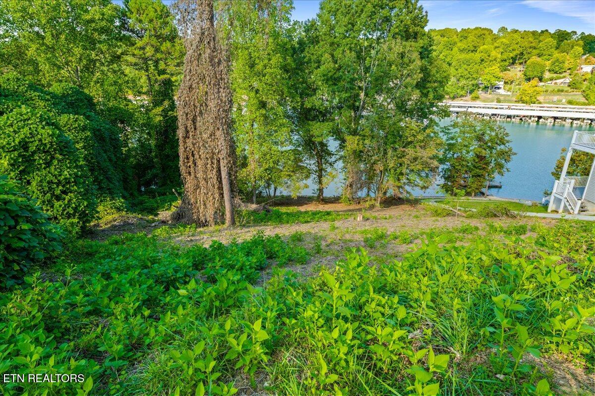 0 Lakesprings Drive Lafollette TN 37766
