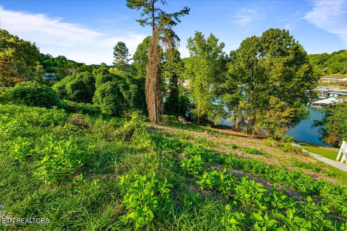 0 Lakesprings Drive Lafollette TN 37766