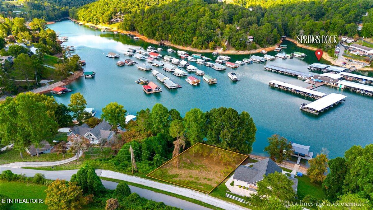 0 Lakesprings Drive Lafollette TN 37766