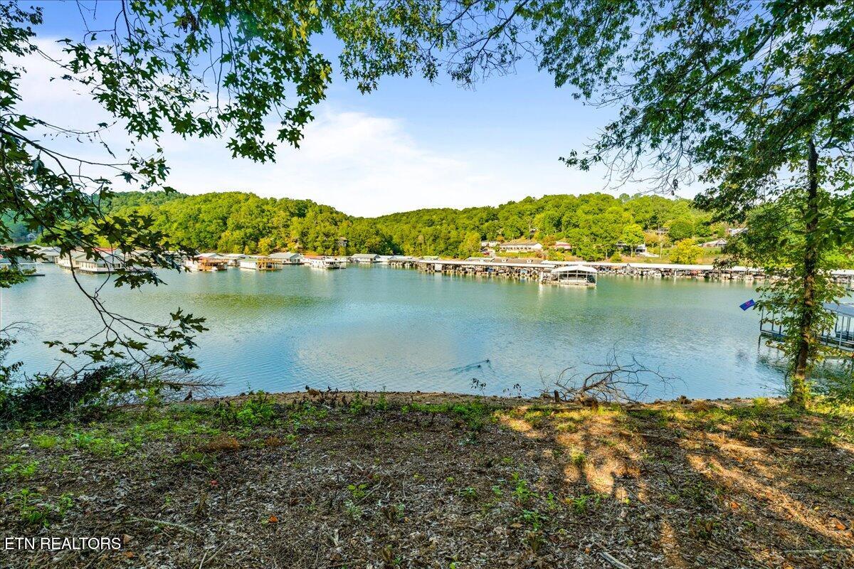 0 Lakesprings Drive Lafollette TN 37766
