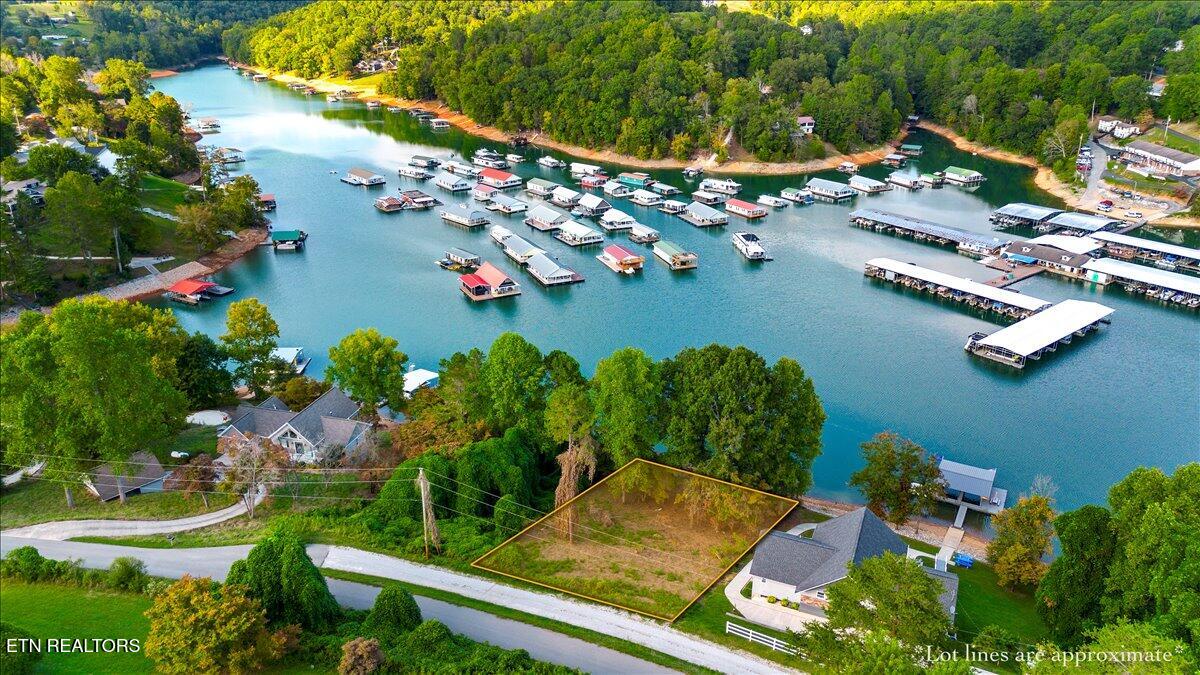 0 Lakesprings Drive Lafollette TN 37766