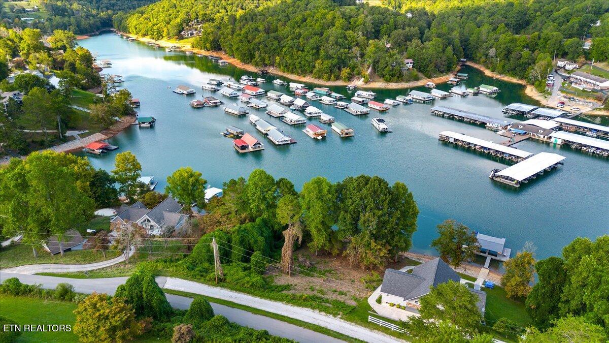 0 Lakesprings Drive Lafollette TN 37766