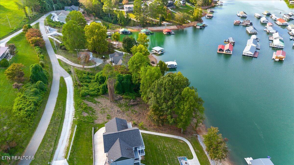 0 Lakesprings Drive Lafollette TN 37766