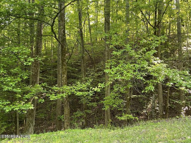 336-342 Omega Drive Spring City TN 37381
