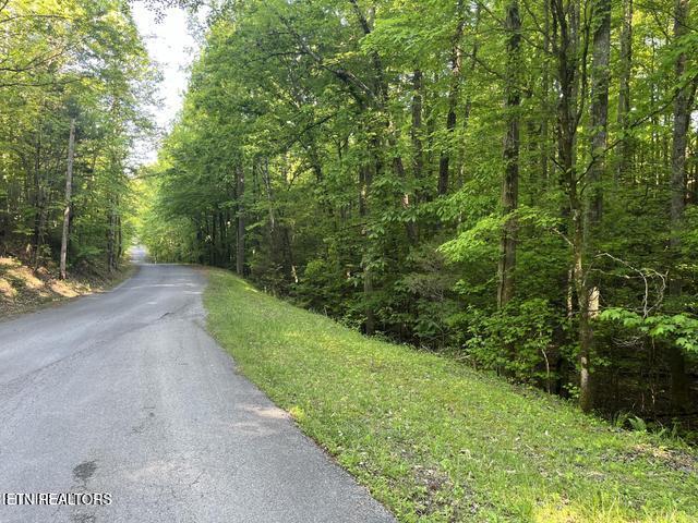 336-342 Omega Drive Spring City TN 37381