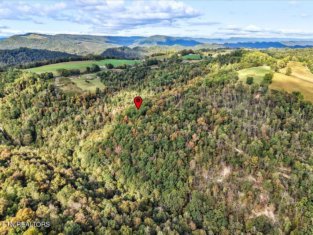 0 Claude Bolden Lane Tazewell TN 37879