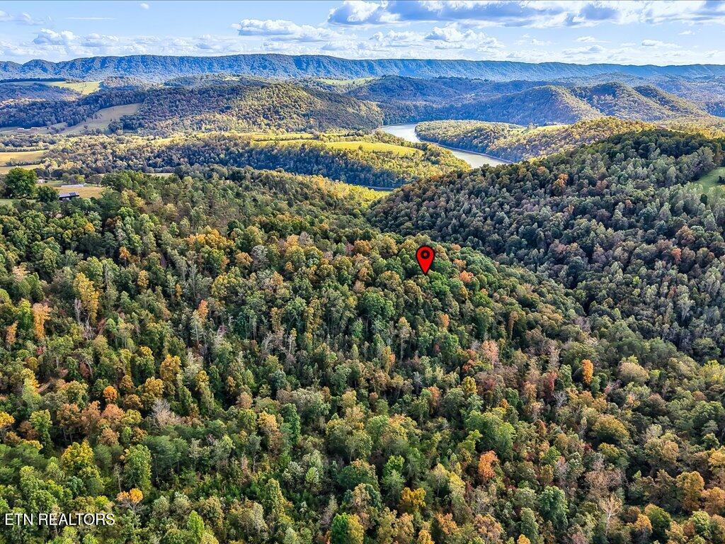 0 Claude Bolden Lane Tazewell TN 37879