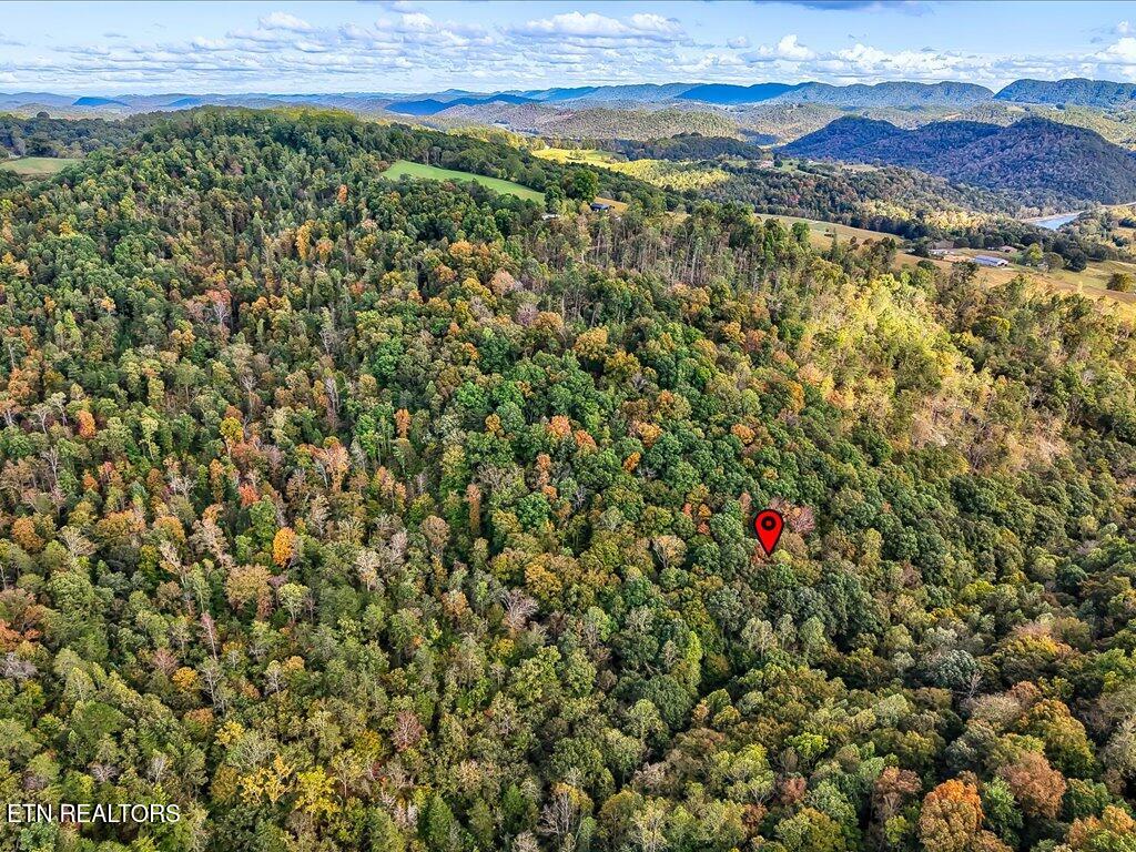 0 Claude Bolden Lane Tazewell TN 37879