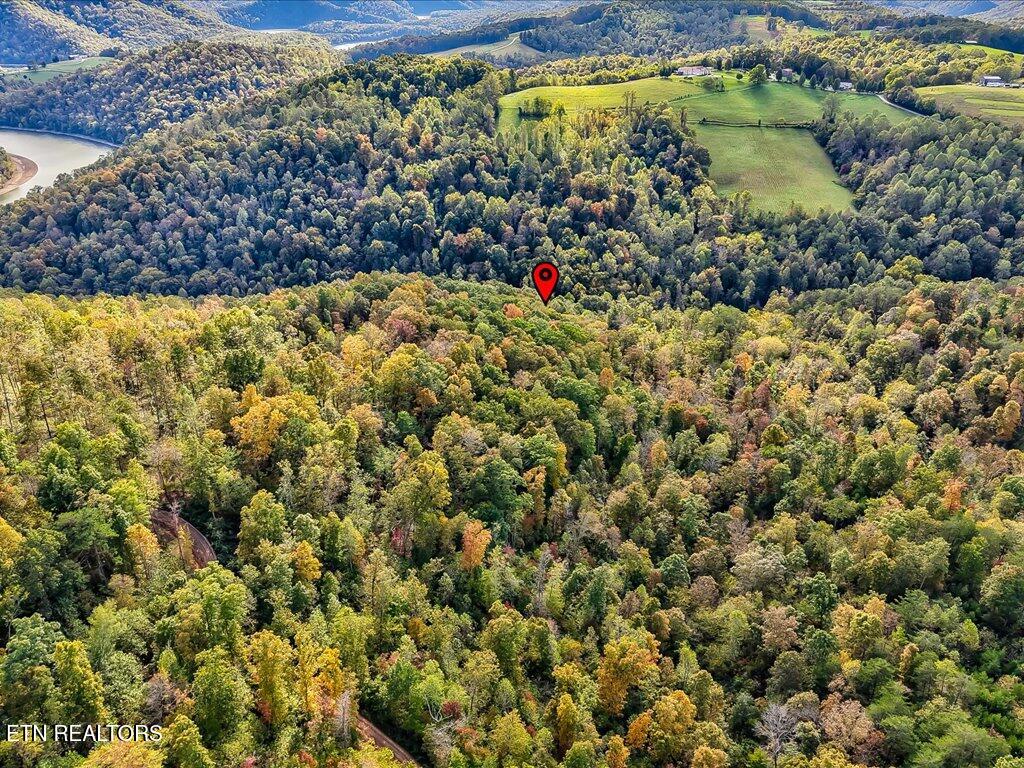 0 Claude Bolden Lane Tazewell TN 37879