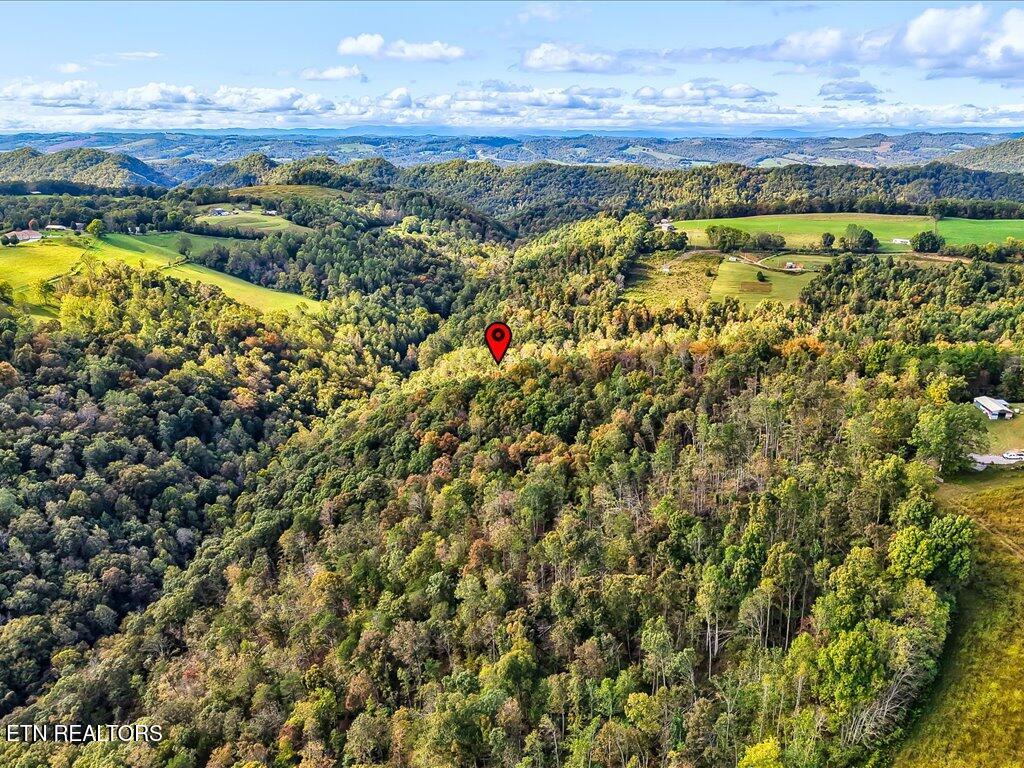0 Claude Bolden Lane Tazewell TN 37879