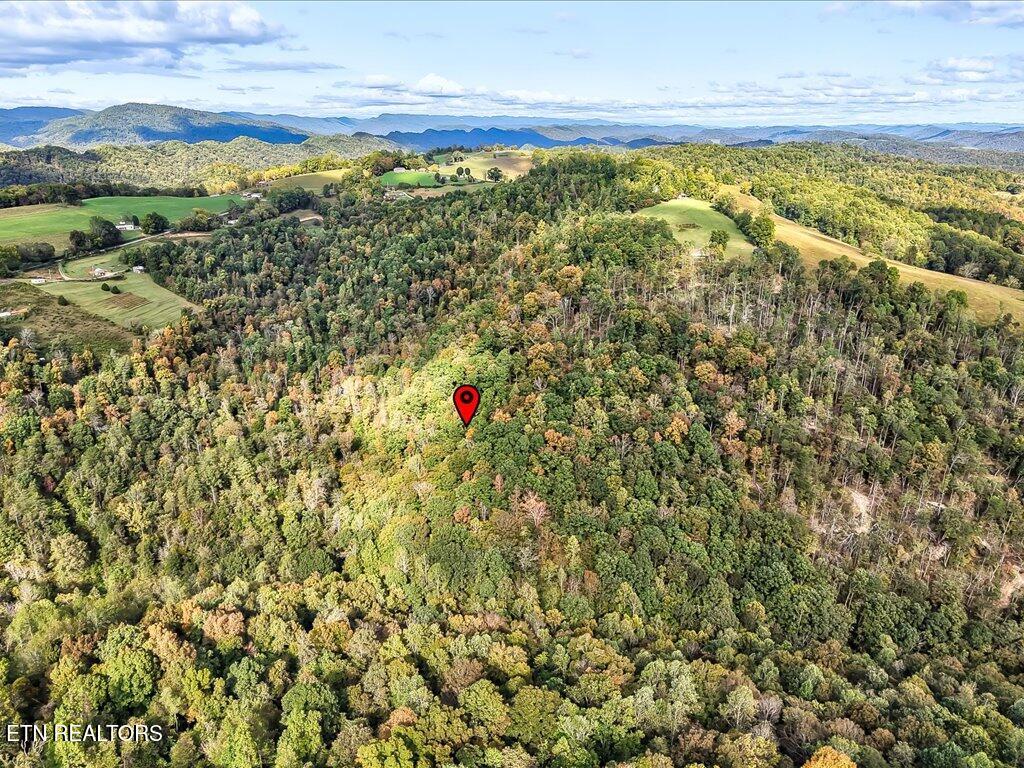 0 Claude Bolden Lane Tazewell TN 37879