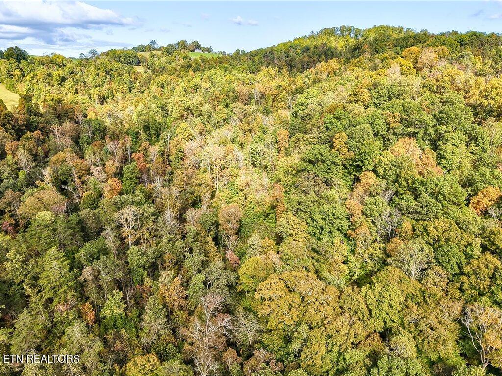 0 Claude Bolden Lane Tazewell TN 37879